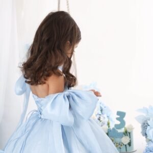 Blue Wedding dress